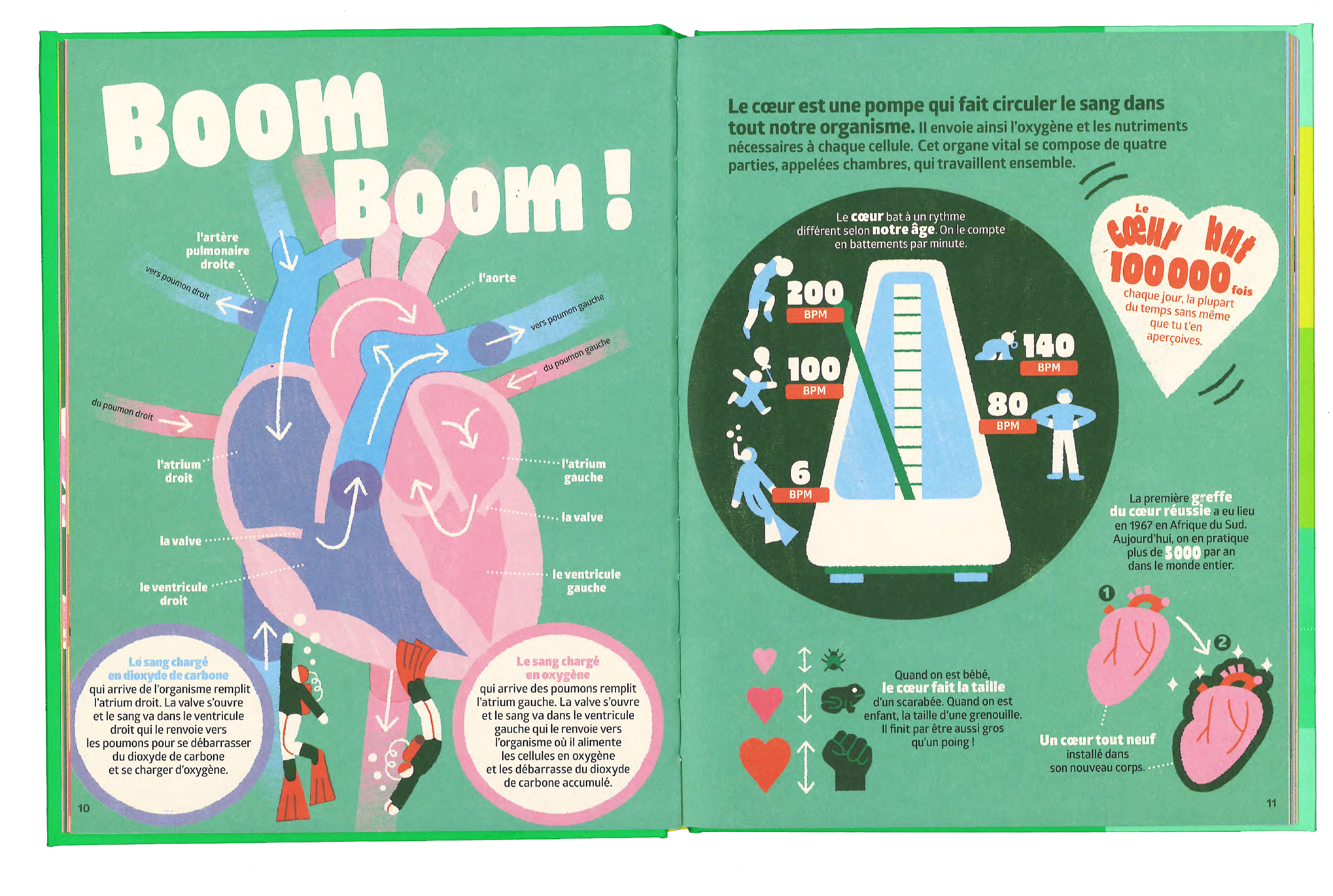 le corps humain boost nathan